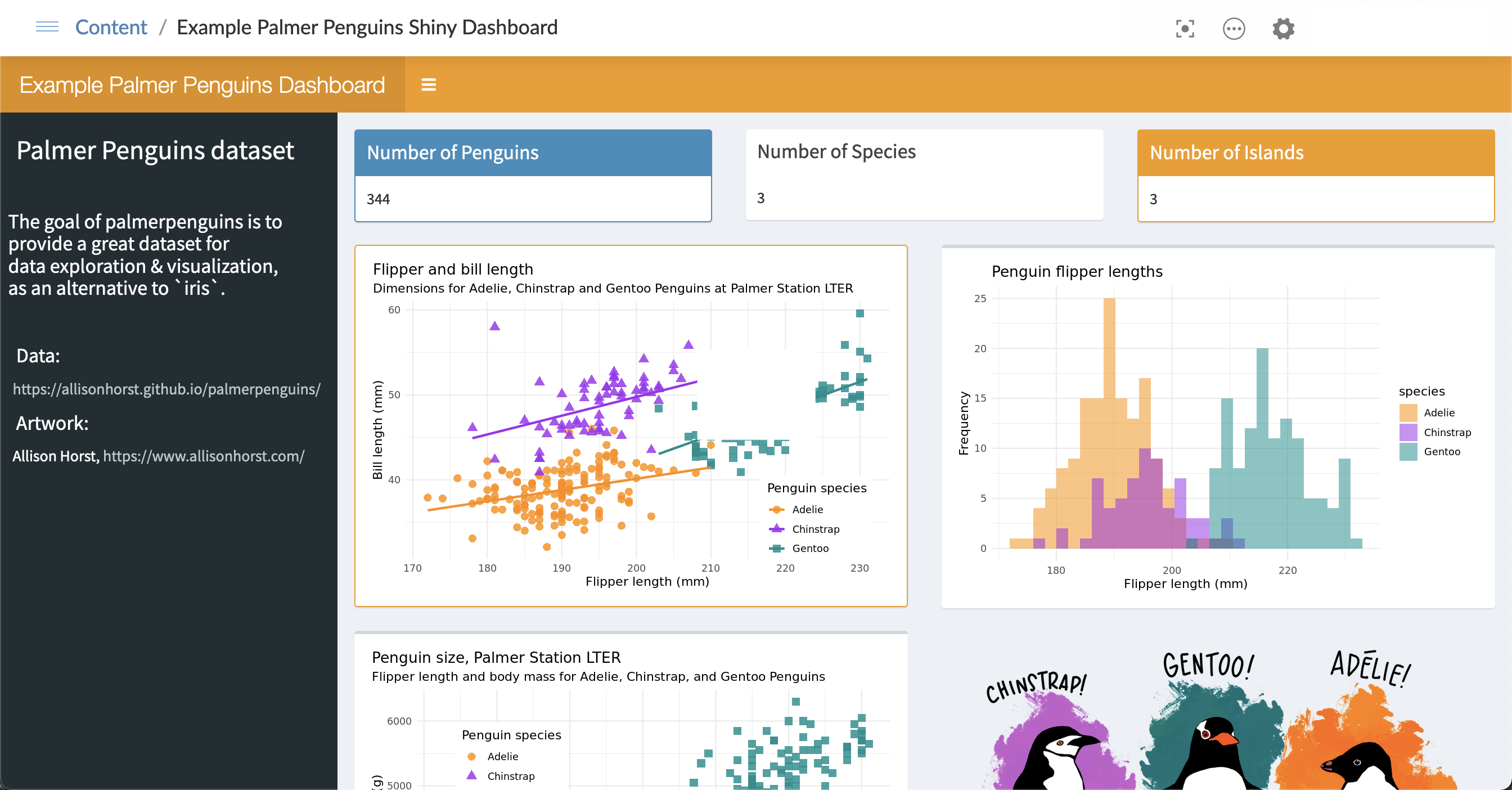 RShiny Interactive Dashboard and Statistical Report Generation